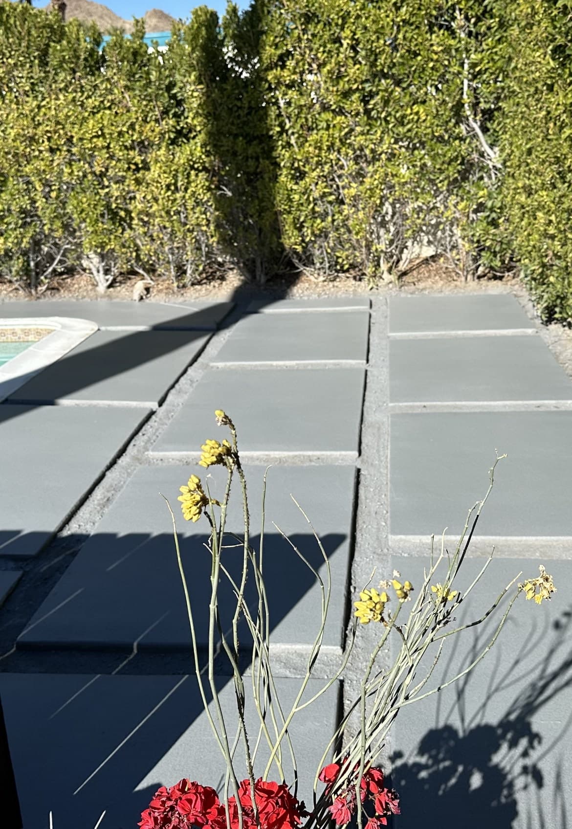 New Concrete Project 4